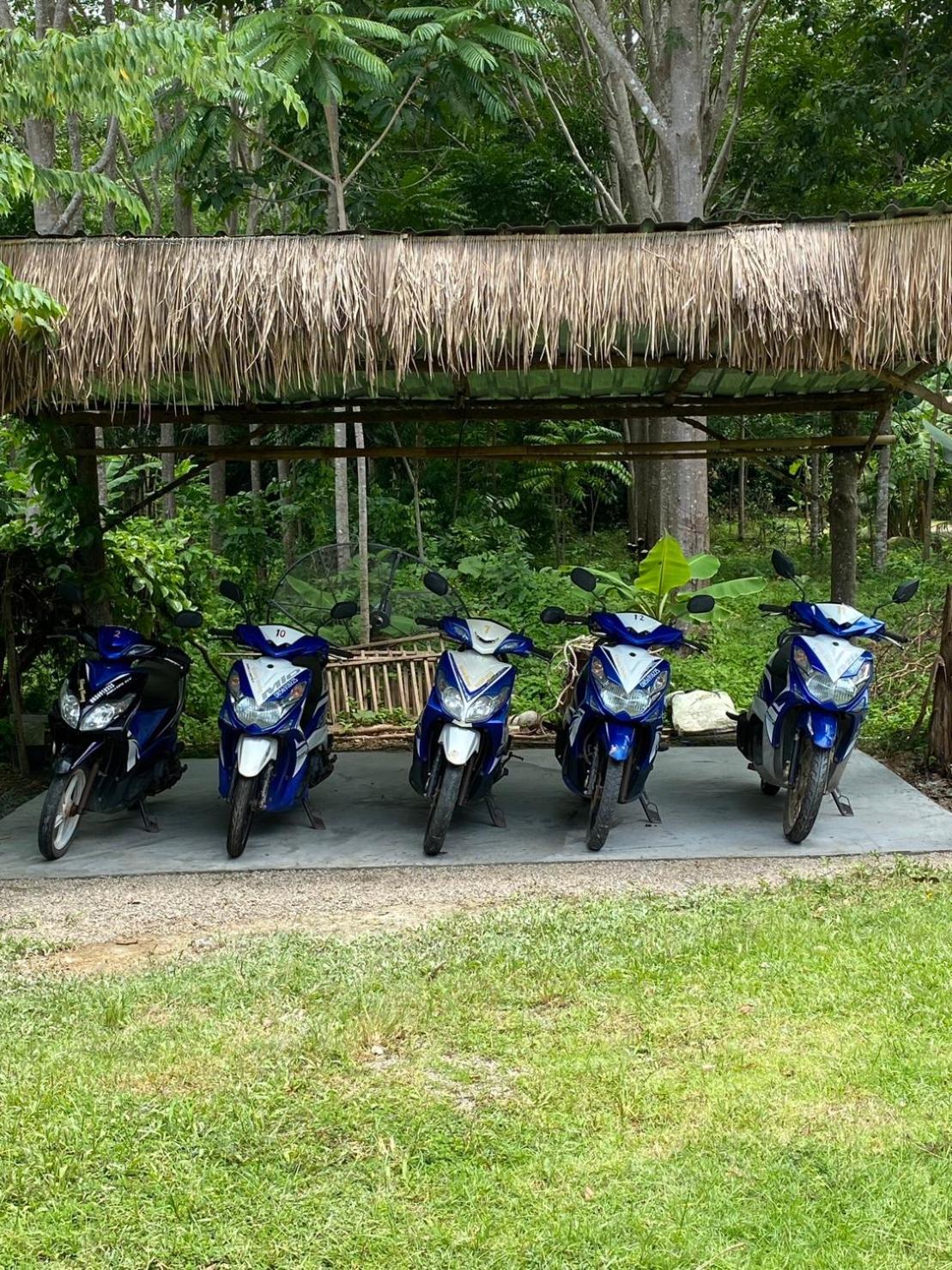 Zabit Bungalow Koh Lanta Exterior photo